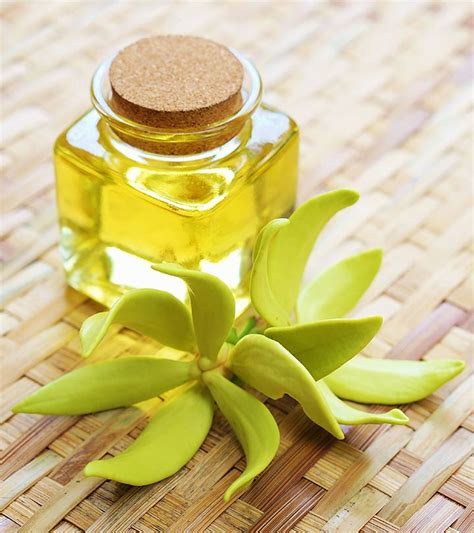 ylang oil benefits for women.